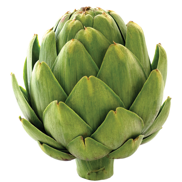 artichoke